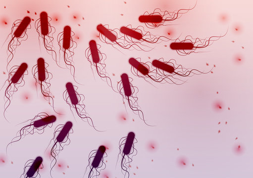 Group of E. coli Bacteria - Vector Illustration