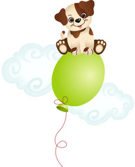 Dog sitting on top balloon
