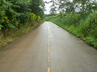 Fototapeta na wymiar Wet road after rain and natural side.