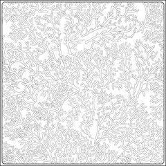 Obraz premium Pattern with decorative corals and sea or aquarium fish. Anti stress coloring book for adult. Outline drawing coloring page.