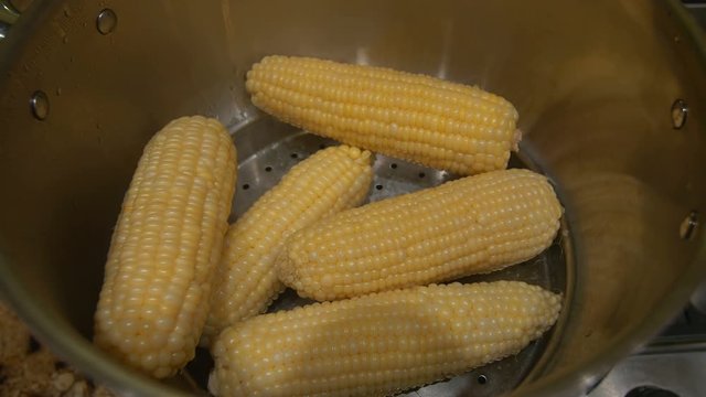 Corn Cobs Steaming With One Taken. 4k