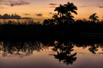 Fototapeta na wymiar Sunrise at Royal Palm, Everglades National Park, Florida