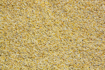 sand texture close-up, bright contrast