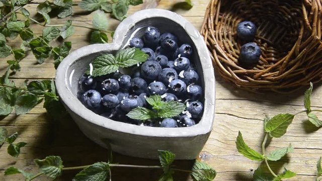 Vaccinium myrtillus Việt quất quả đen