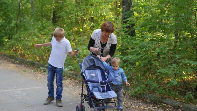 grandmother with grandchildren walking in the Park
