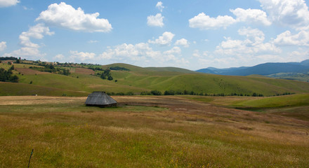 Obraz premium Mount Zlatibor, Serbia