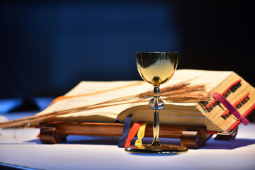Elegant golden chalice with open prayer book in the background.