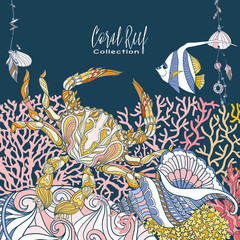 Obraz premium Coral reef collection. Underwater world. corals and fish.