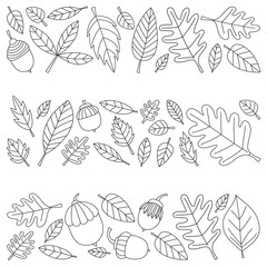 Pattern with autumn leaves Oak Mapple Acorn Linden