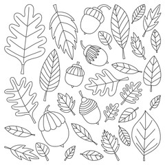 Pattern with autumn leaves Oak Mapple Acorn Linden