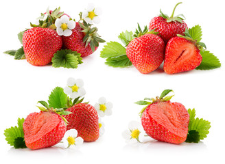 Obraz na płótnie Canvas collection of strawberries isolated on the white background