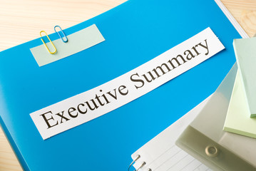 executive summary - 121507112