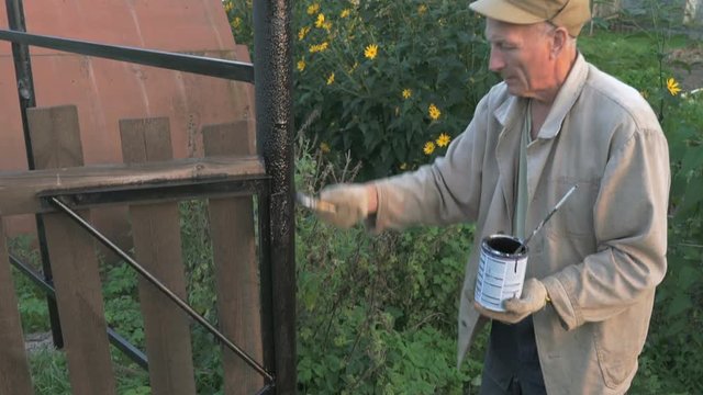 Gardener painting the iron fence using black paint