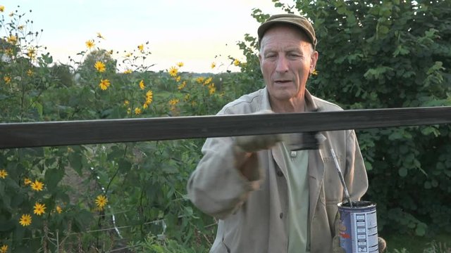 Aged man 60s paints the iron fence using a black
