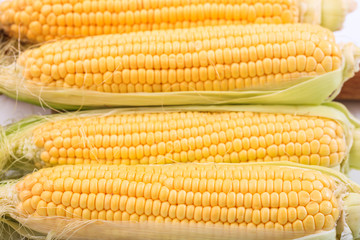 Fresh corns on a table