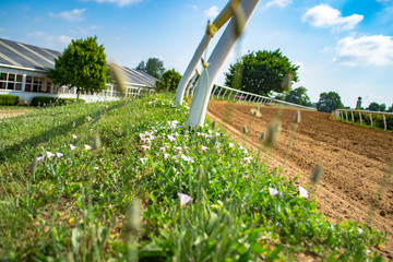 Horse Racetrack