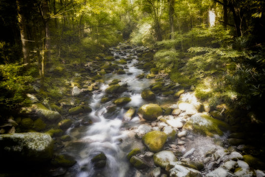 Peaceful River