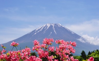 Fototapeta premium The Mount Fuji in Japan