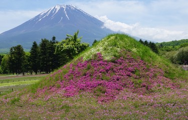 The Mount Fuji in Japan