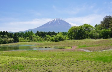 The Mount Fuji in Japan