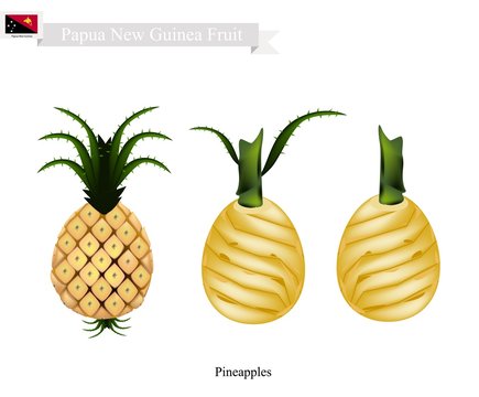 Fresh Pineapple, A Famous Fruit in Papua New Guinea