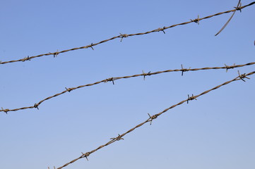 Rusty barbed wire, blue sky background