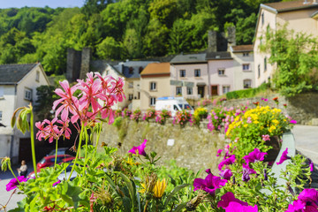 Beautiful country side scene of Vianden