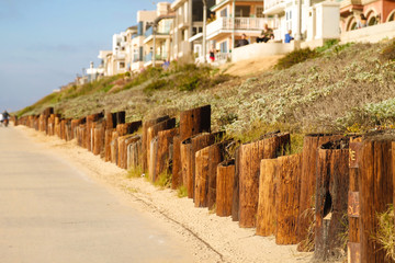 Along the beach