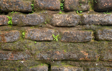 close-up of an old brick wall that is damaged