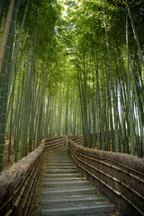 Fototapeta na wymiar 京都嵐山　念仏寺の竹林