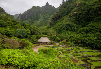 limahuli garden and preserve, kauai, hawaii