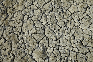 Climate warming dry chapped land