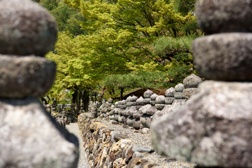 春の念仏寺　京都嵐山