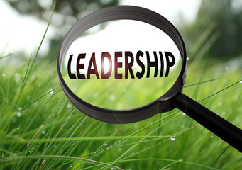 leadership