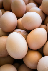 Group of eggs texture background