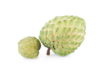 Fototapeta premium custard apple fruit with stem on white background