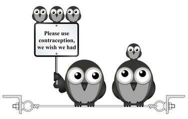 Comical family of birds with use contraception message