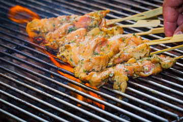 BBQ  chicken