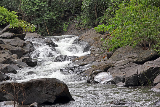 Salaulim river, a tributary of Zuari River, flowing through the rugged and hilly forest area of Netravali in Goa, India.