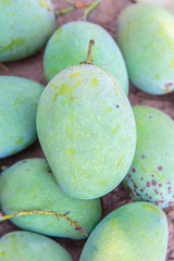 Fresh mangoes on floor or ground.