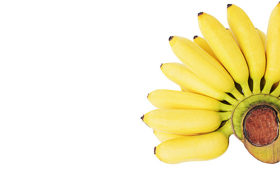 Yellow banana fruits Isolated on white backgrounds