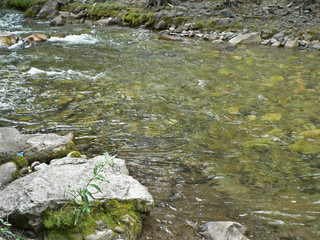 Small river in the mountains. Clear water.