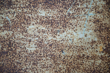 texture steel brown rust background metal