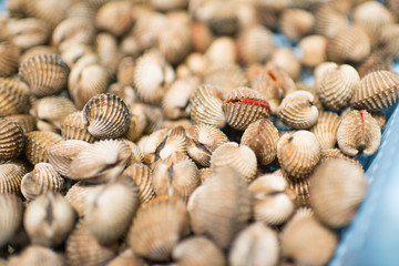 nature Boiled cockles