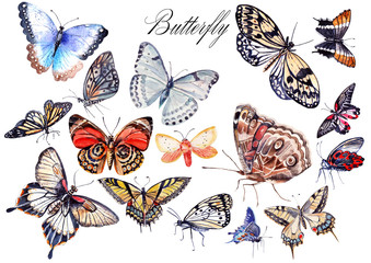 Watercolor set with butterflies . illustrations