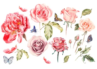 Fototapete Rosen Aquarellset mit verschiedenen Rosen. Illustration