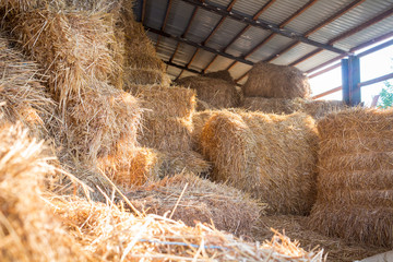 Hay stacks storage at farm haylof