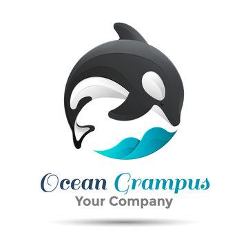 Vector illustration. Logo orca whale. Isolated white background. Grampus. Killer . The concept of protection whales. design . Template for your business company. Creative abstract colorful.