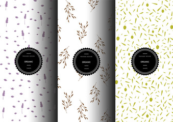 Set of organic patterns. Lavender. Olive. Branch. Vector packaging design elements and templates.