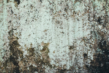 grunge wall for background.